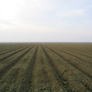 un campo arado que muestra el suelo expuesto