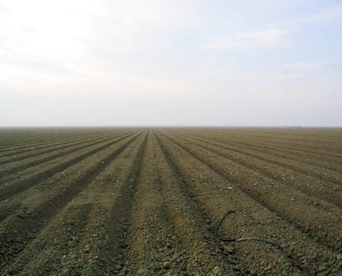 a plowed field showing exposed soil