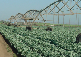 center-pivot irrigation over crops