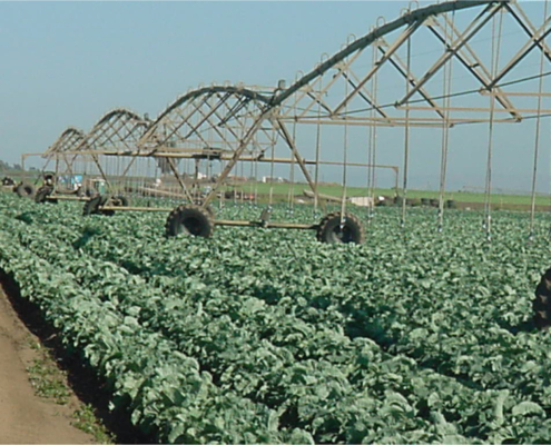 linear irrigation over crops