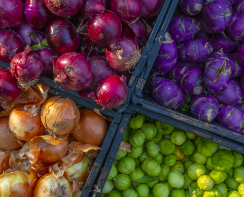 Corona Farmers Market, Queens, New York, USDA Flickr CC