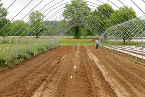 Amended and tilled soil to prepare for planting