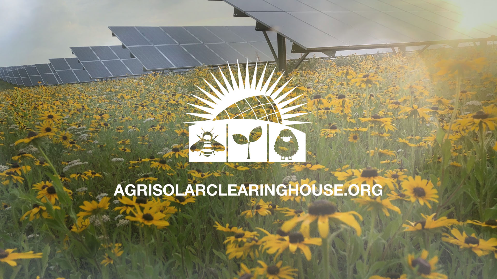 Agrisolar clearinghouse logo