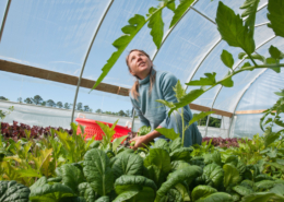 Amy's Organic Garden owner Amy Hicks tends plants in geothermal greenhouse