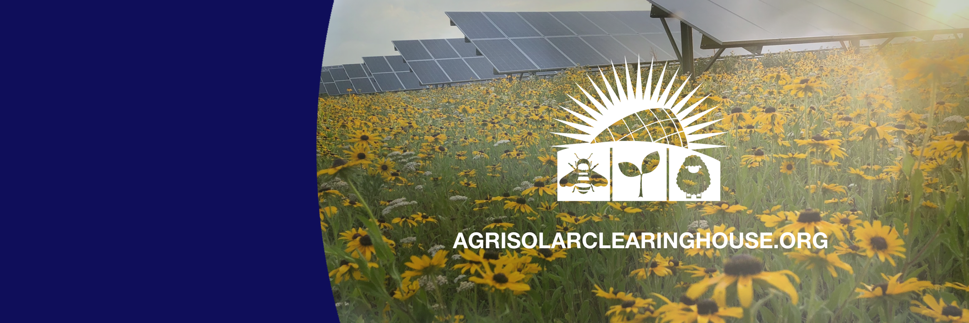 AgriSolar Clearinghouse - Solar Panels
