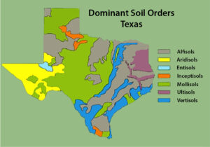 Figura 1. Órdenes de suelo dominantes en Texas