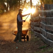 Doug Lair feeding hay