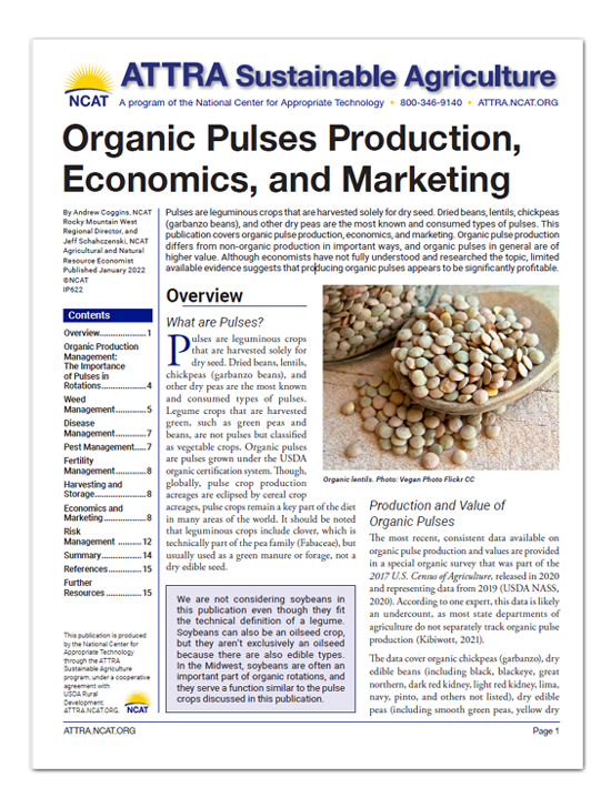 Organic Pulses - Cover Art