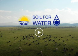 Soil for Water Film
