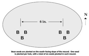 Figure 6. Hidatsa Bean Mound
