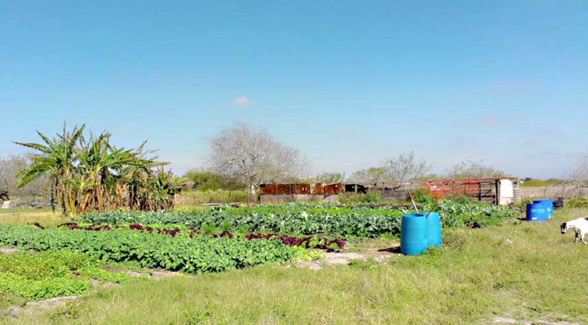 a farmscape in a hot climate