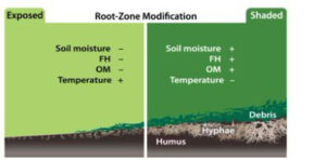 root-zone modification graphic