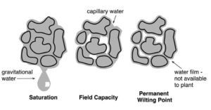 Figure 1. Saturation, Field Capacity, and Permanent Wilting Point