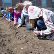 a line of children kneeling in dirt, planting in a garden