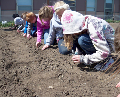 a line of children kneeling in dirt, planting in a garden