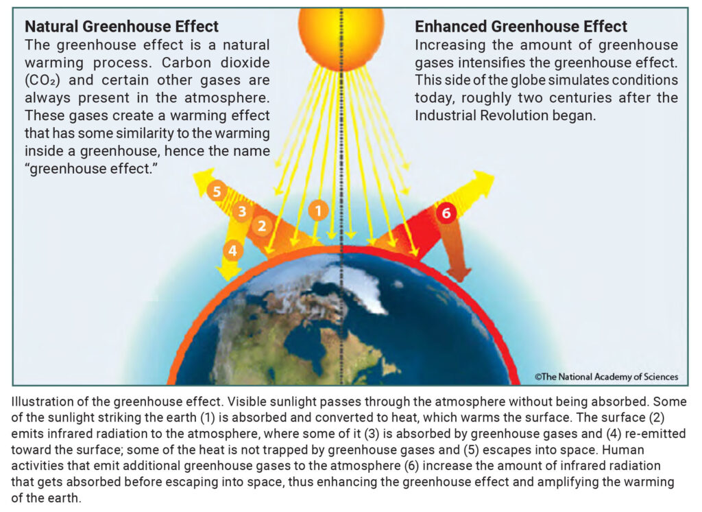 Figure 1. The Greenhouse Effect