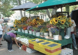farmers market booth with flowers on sale