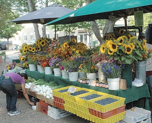 farmers market booth with flowers on sale