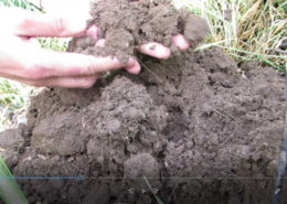 You can assess soil health with your senses and simple tools