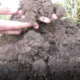 You can assess soil health with your senses and simple tools