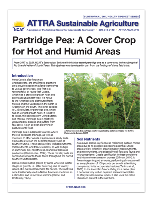 IP624 Partridge Pea Tipsheet Cover Art