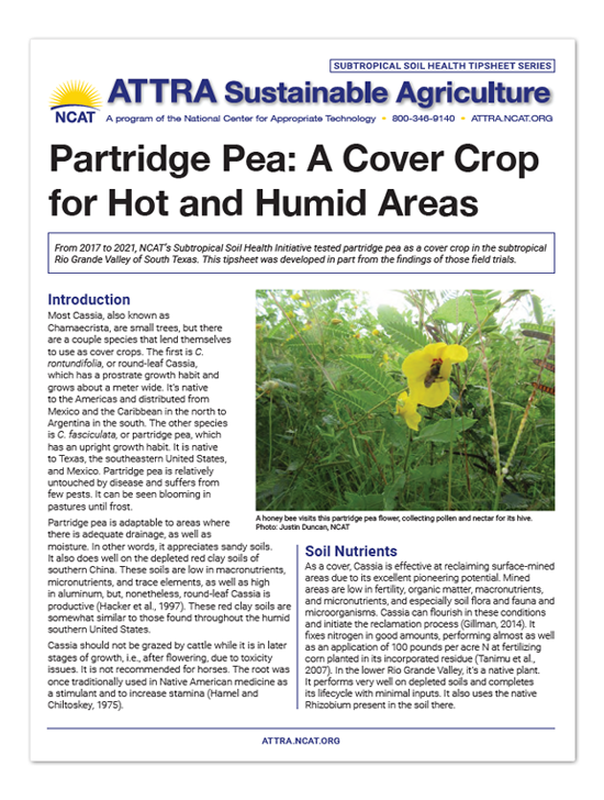 IP624 Partridge Pea Tipsheet Cover Art