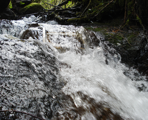 Image of a stream