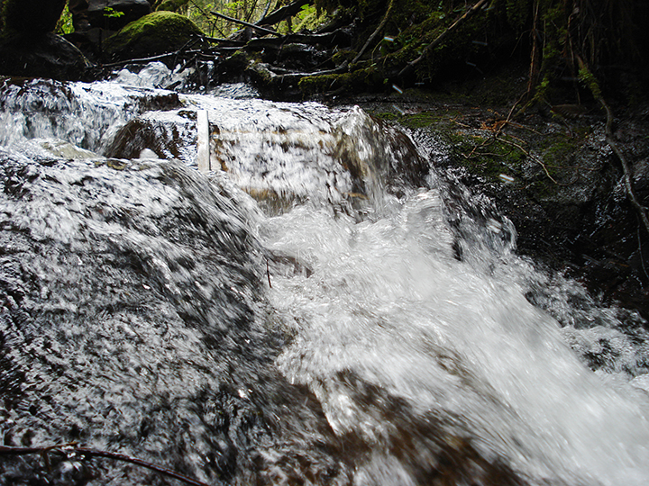 Image of a stream