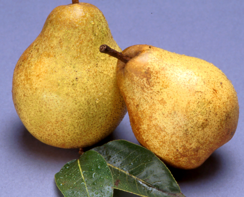 blake's pride pear