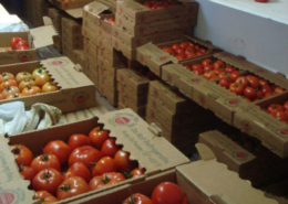 boxed tomatoes