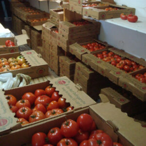 boxed tomatoes