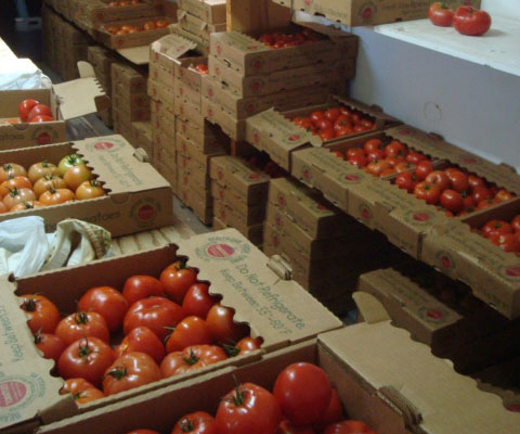 boxed tomatoes