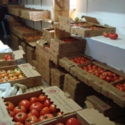 boxed tomatoes