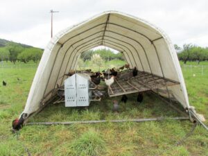 hoop house for poultry