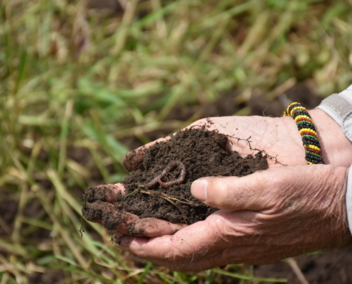 Healthy soil and hands, USDA Flickr