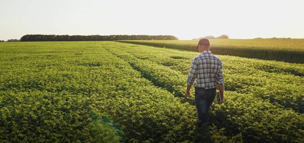 Farmer walking through a field