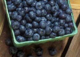 carton on blueberries