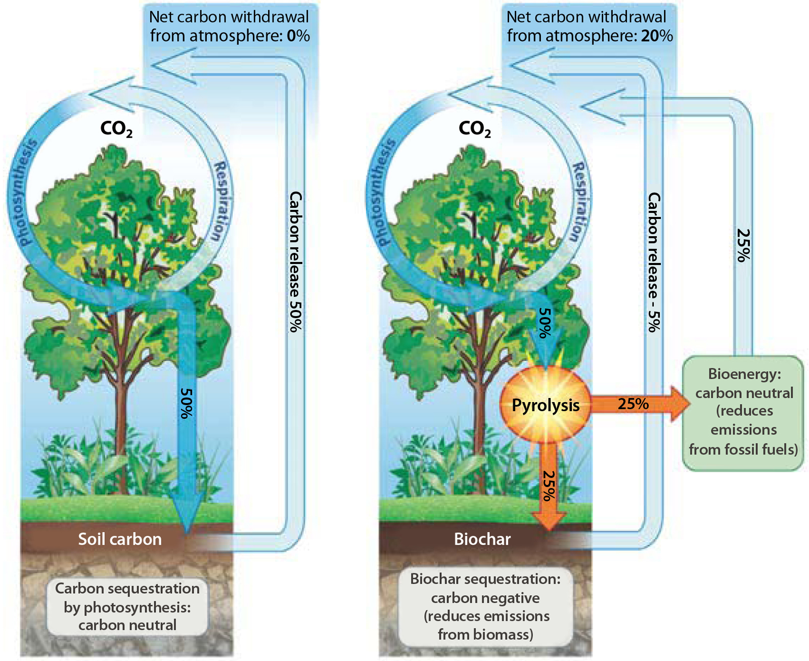 Figura 1: pirólisis de la biomasa