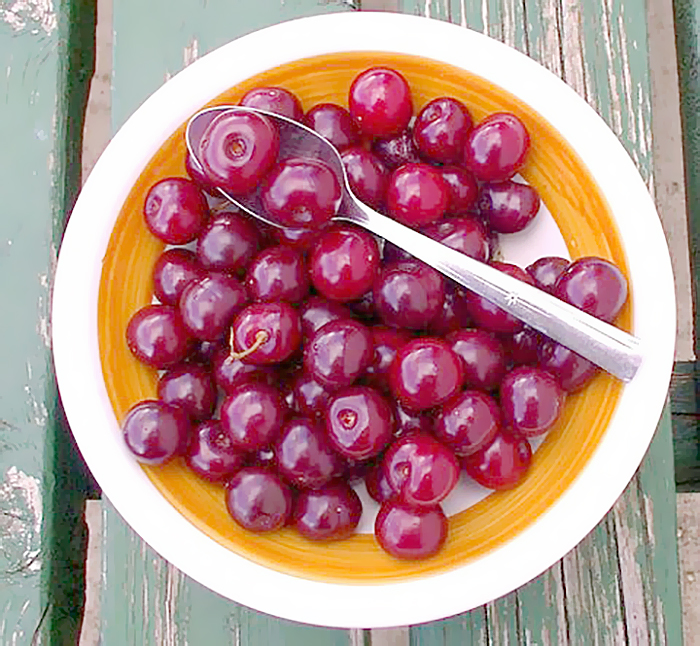 Tart cherries in a bowl