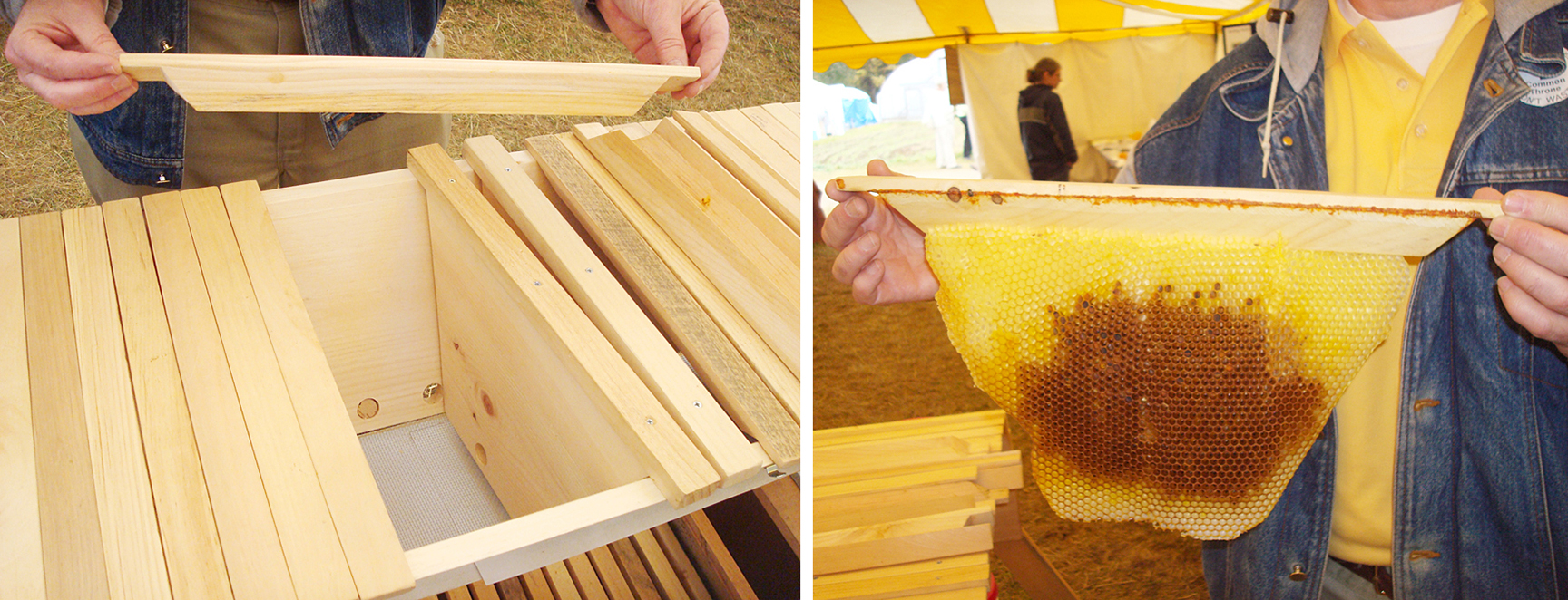 Top bar and honey comb from a Top Bar hive
