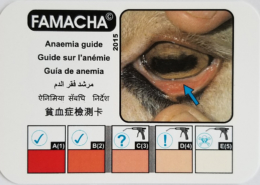 famacha guide