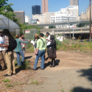 high tunnels in urban ag