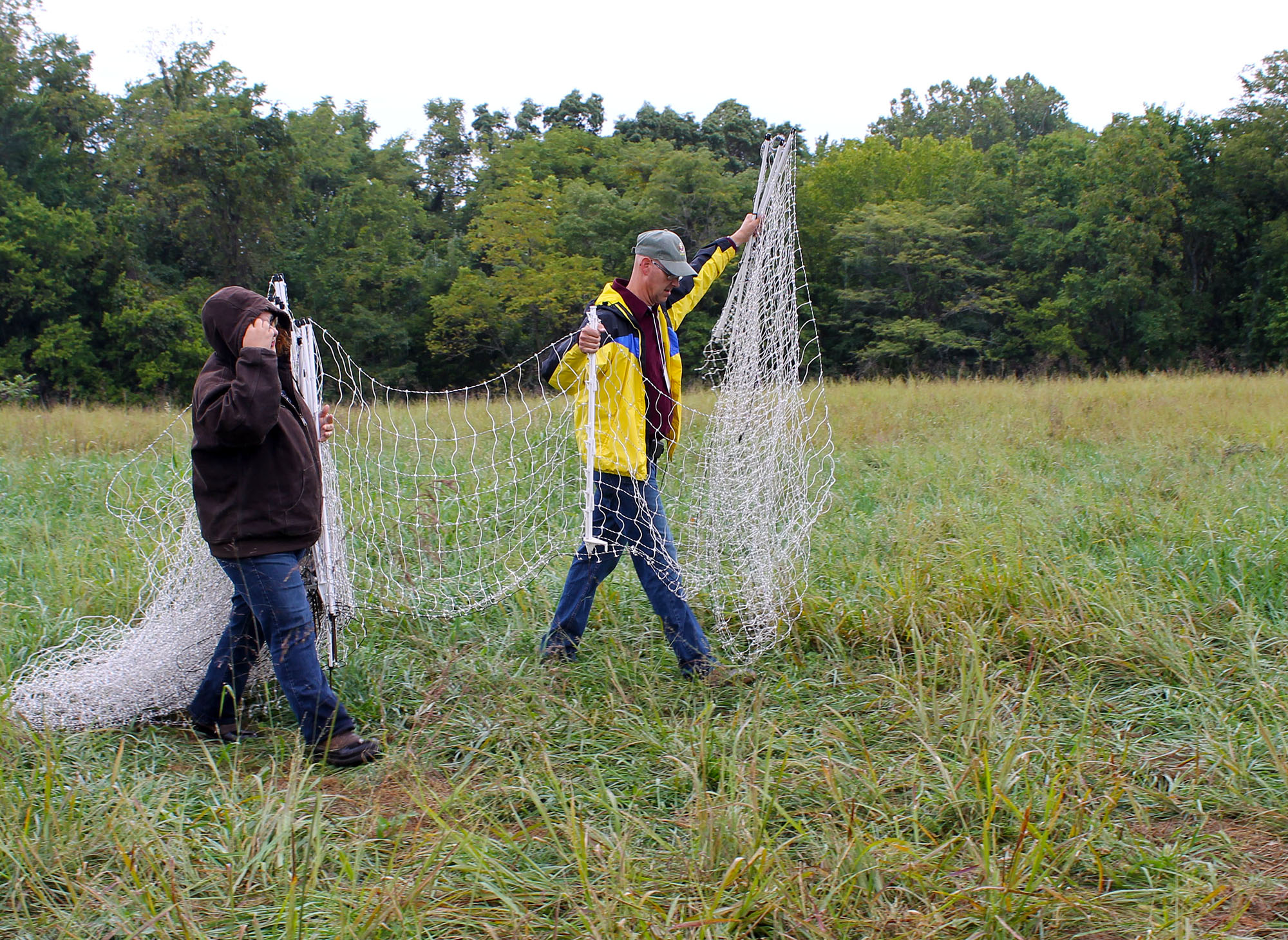 two people carrying net fencing in a pasture