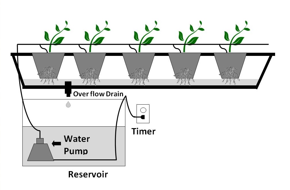 Graphic of a hydroponic system