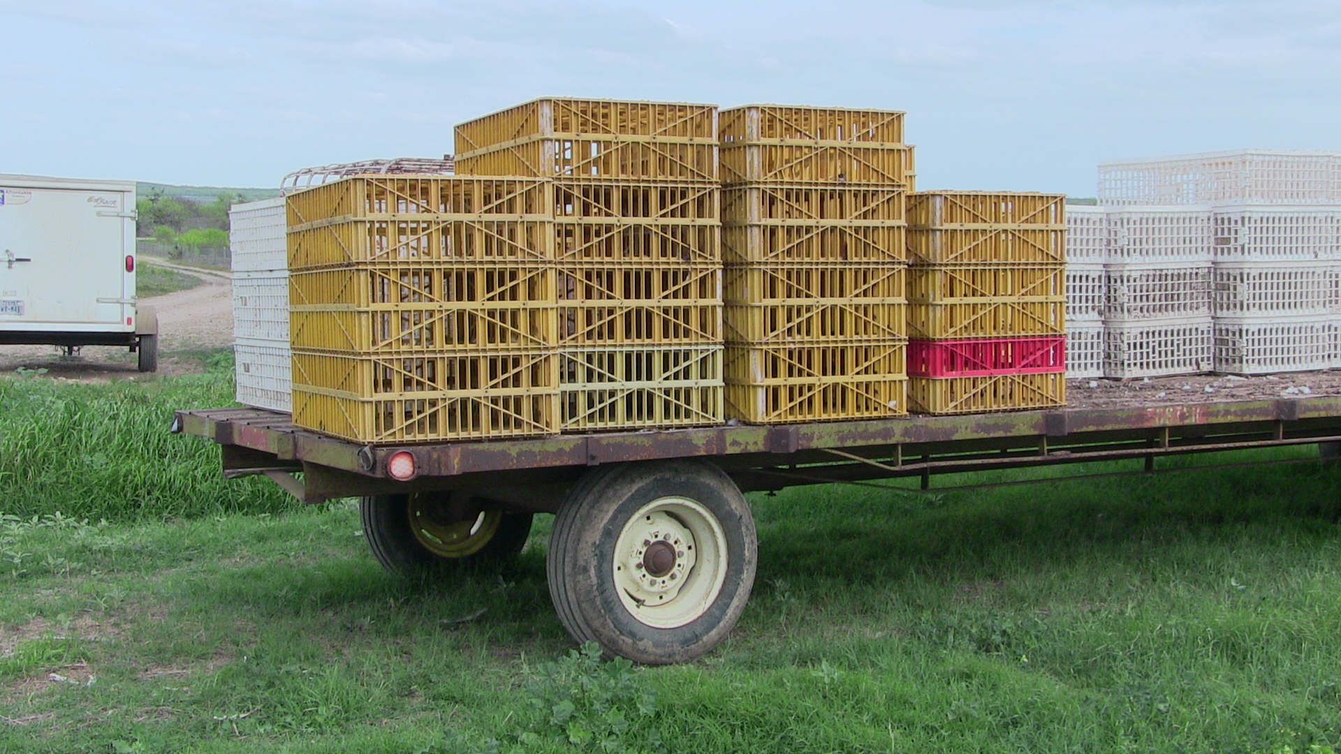 Flatbed trailers with plastic coops