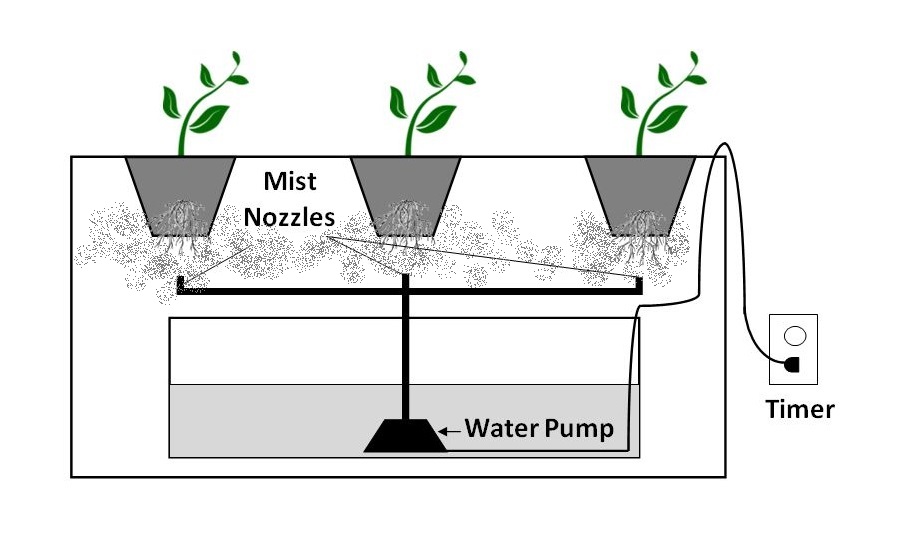 Graphic of an aeroponic system