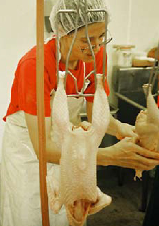 a woman eviscerating a poultry carcass