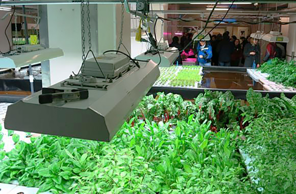 Photo of large banks of fluorescent lamps that provide the spectrum of light that keeps the floating beds of plants alive year-round in The Plant Chicago, a vertical farming facility. 