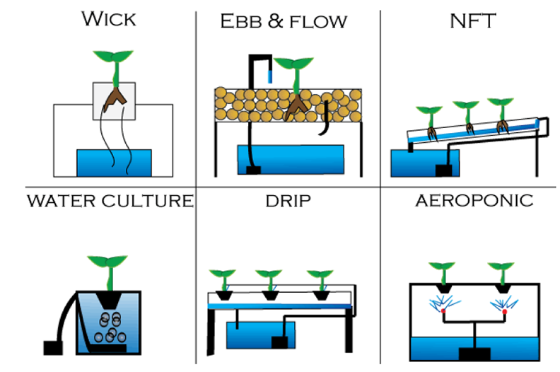 Table 2 Principal Types of Hydroponics Systems