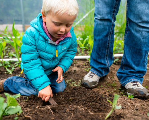 Young child digging in the soil of his family's farm